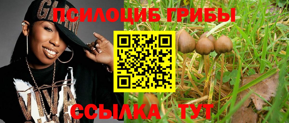 Галлюциногенные грибы ЛСД  Вход с VPN  Псков 