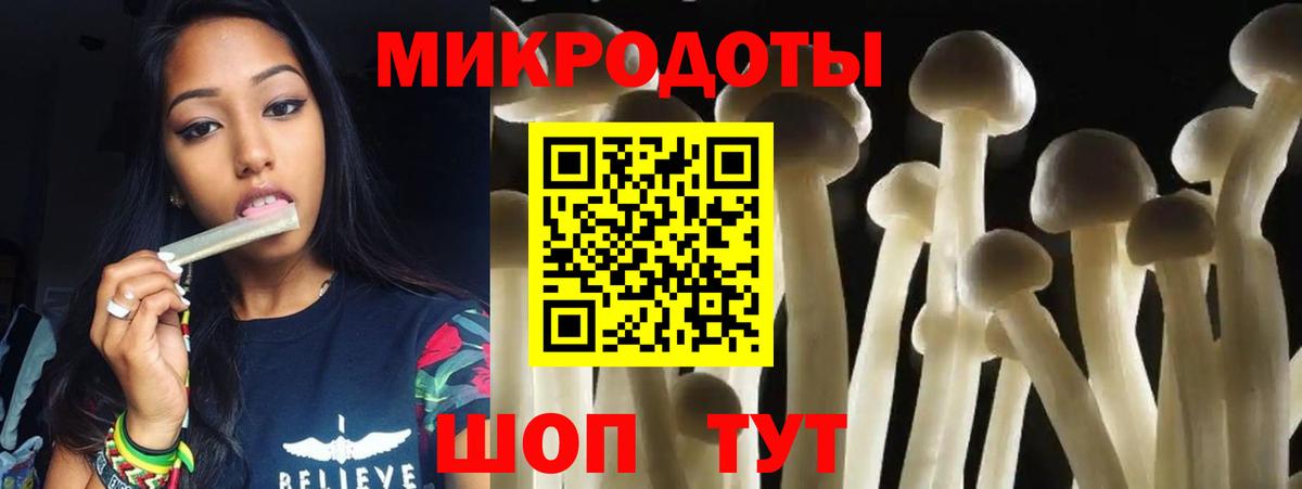 Галлюциногенные грибы Cubensis Псков